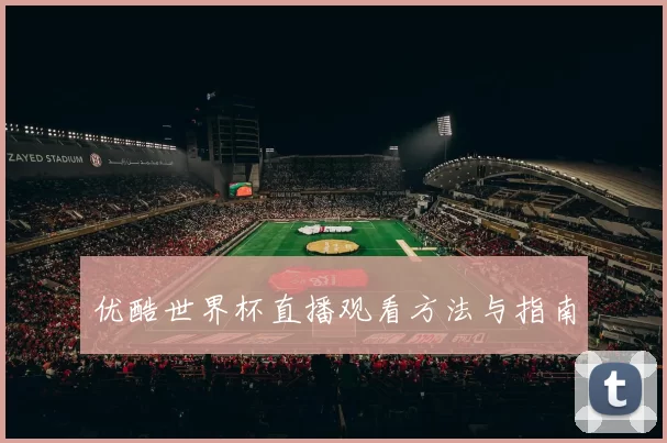 优酷世界杯直播观看方法与指南