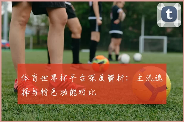体育世界杯平台深度解析：主流选择与特色功能对比