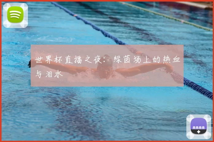 世界杯直播之夜：绿茵场上的热血与泪水