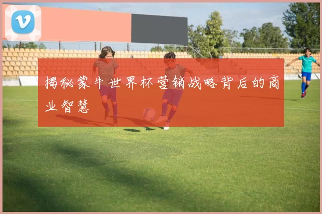 揭秘蒙牛世界杯营销战略背后的商业智慧