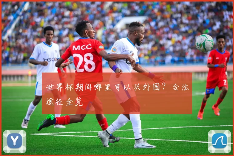 世界杯期间哪里可以买外围?合法途径全览