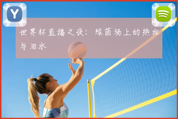 世界杯直播之夜：绿茵场上的热血与泪水