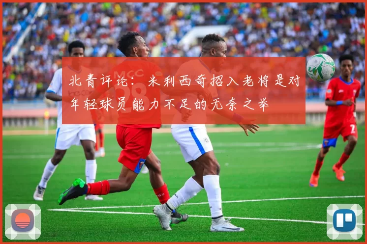 北青评论：米利西奇招入老将是对年轻球员能力不足的无奈之举