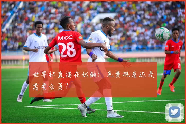 世界杯直播在优酷：免费观看还是需要会员？