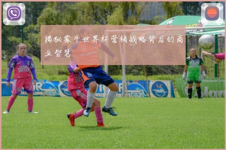 揭秘蒙牛世界杯营销战略背后的商业智慧