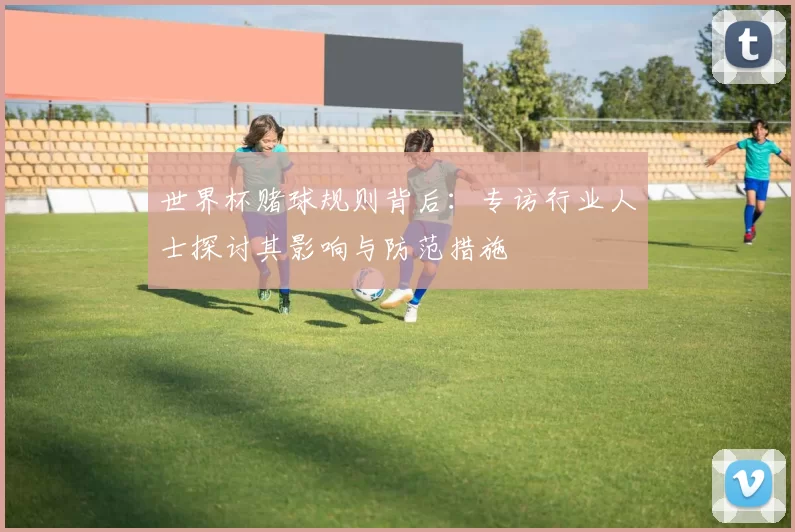 世界杯赌球规则背后：专访行业人士探讨其影响与防范措施
