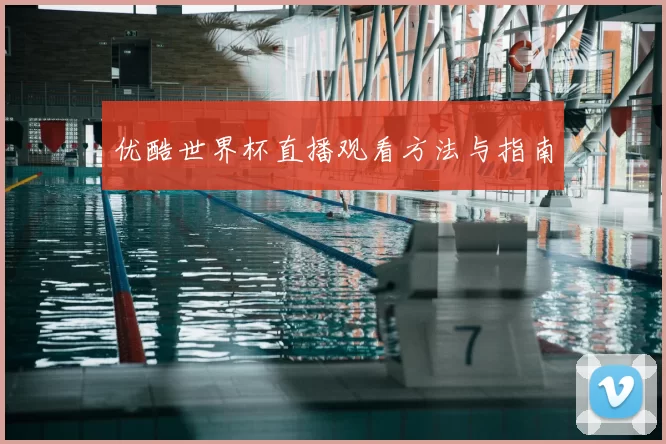 优酷世界杯直播观看方法与指南