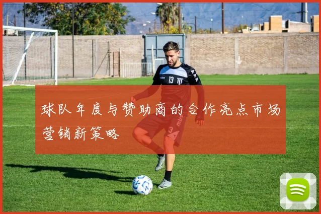 球队年度与赞助商的合作亮点市场营销新策略