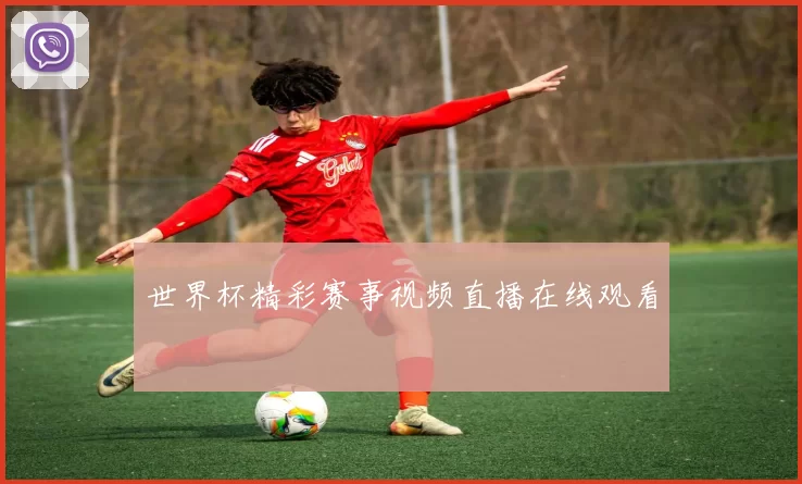 世界杯精彩赛事视频直播在线观看