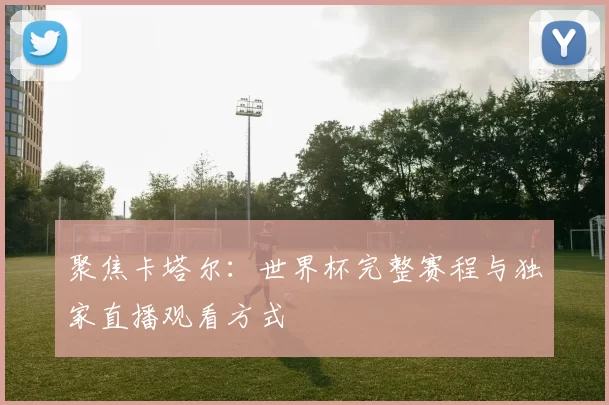 聚焦卡塔尔：世界杯完整赛程与独家直播观看方式
