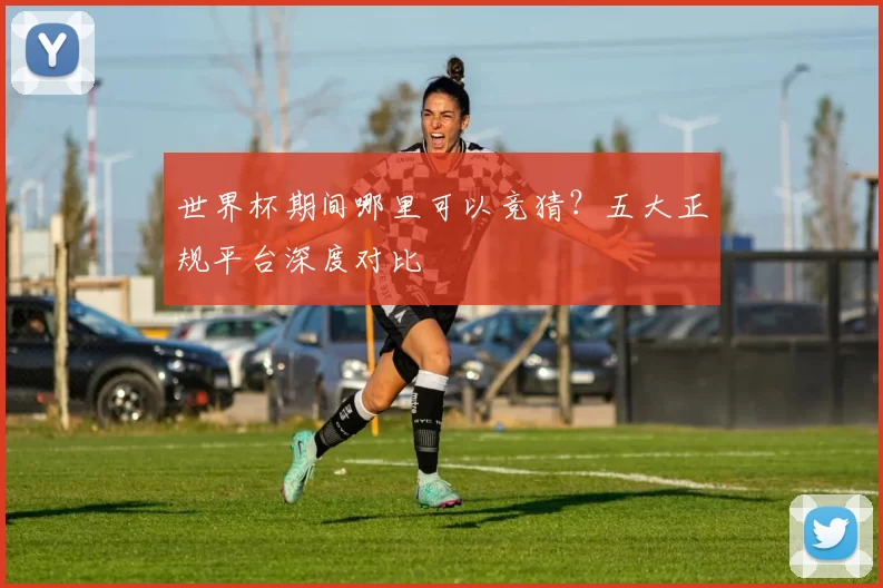 世界杯期间哪里可以竞猜?五大正规平台深度对比
